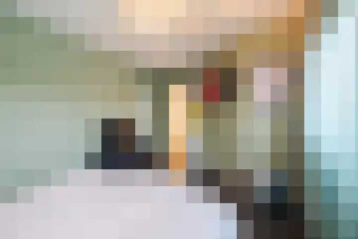 Het Haagje 113 Hoogeveen thumbnail 29