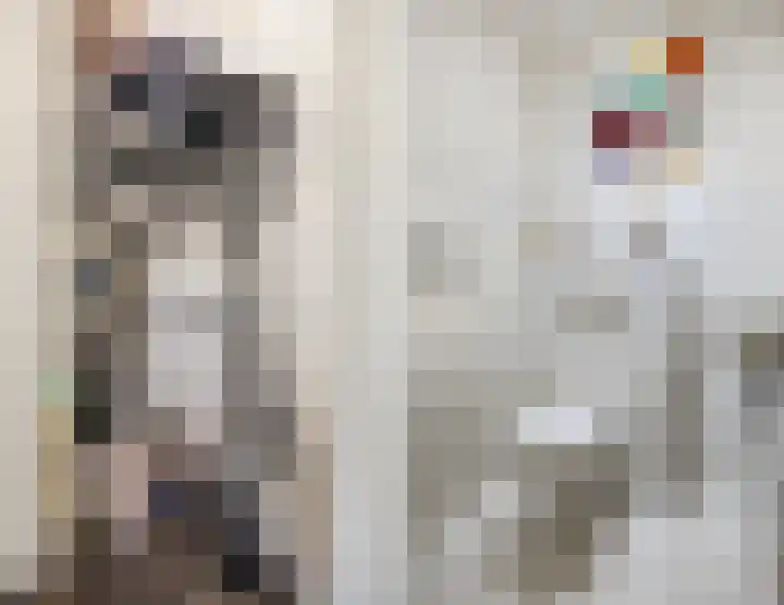 Het Haagje 113 Hoogeveen thumbnail 30