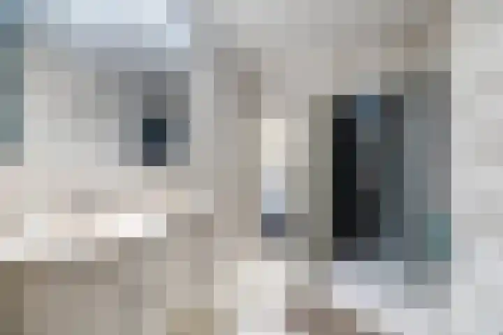 Het Haagje 113 Hoogeveen thumbnail 4