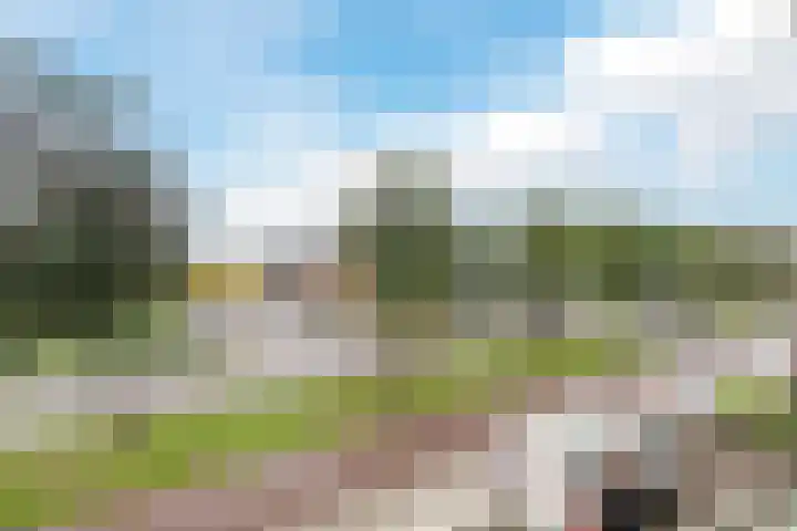 Het Haagje 113 Hoogeveen thumbnail 6
