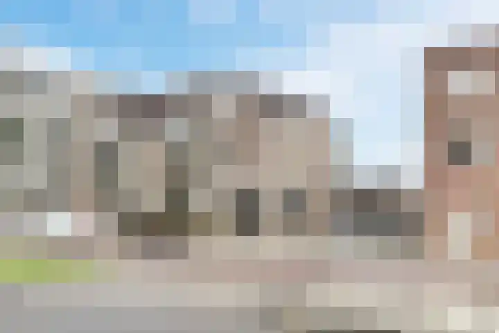 Het Haagje 113 Hoogeveen thumbnail 7