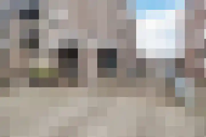 Het Haagje 113 Hoogeveen thumbnail 8