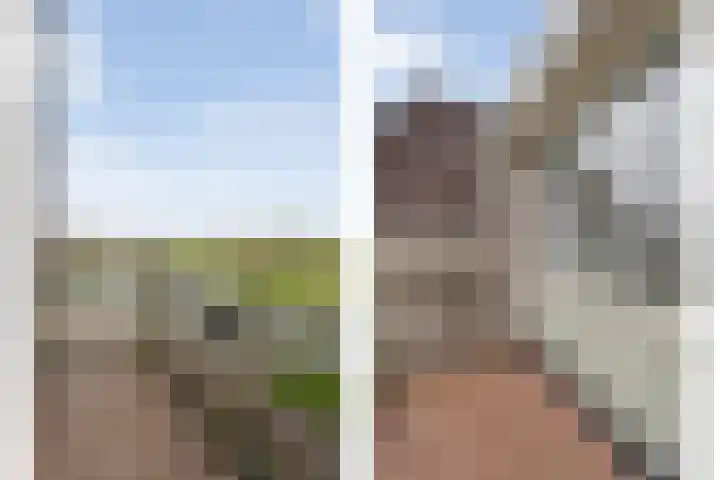 Het Haagje 115 Hoogeveen thumbnail 12
