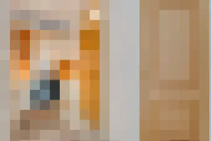Het Haagje 115 Hoogeveen thumbnail 18