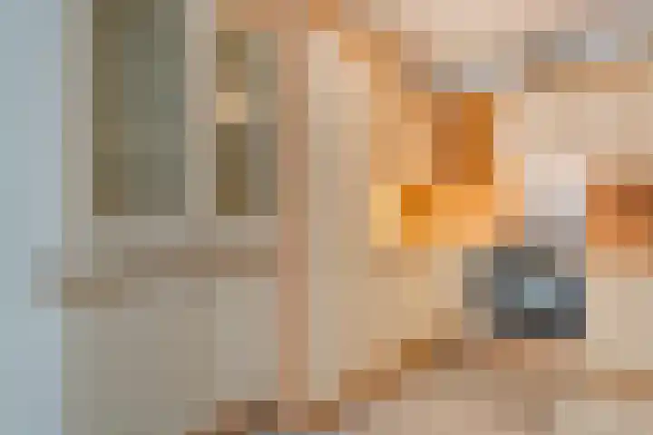 Het Haagje 115 Hoogeveen thumbnail 19