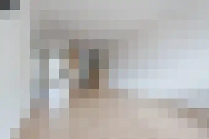 Het Haagje 17 Hoogeveen thumbnail 11