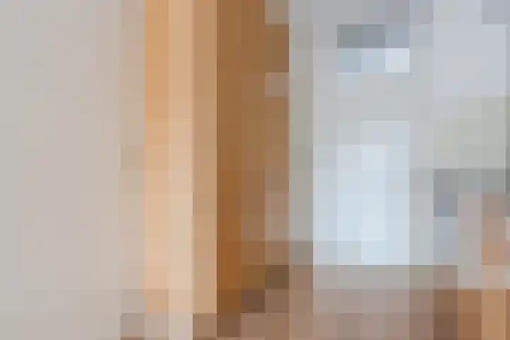 Het Haagje 17 Hoogeveen thumbnail 14