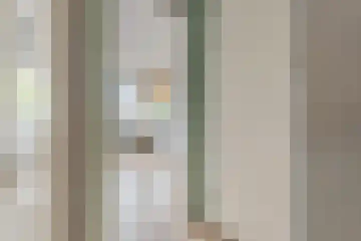 Het Haagje 17 Hoogeveen thumbnail 15