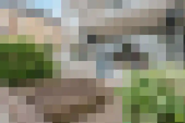 Het Haagje 17 Hoogeveen thumbnail 18