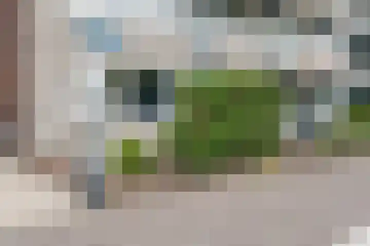 Het Haagje 17 Hoogeveen thumbnail 20