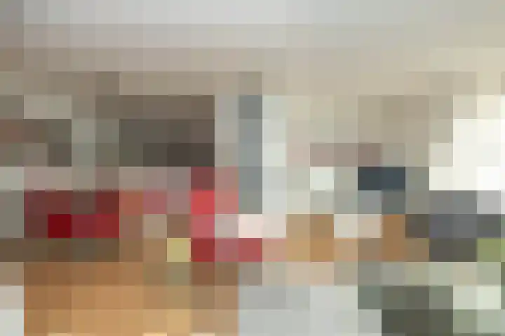 Het Haagje 26 51 Hoogeveen thumbnail 14