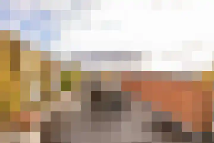 Het Haagje 26 51 Hoogeveen thumbnail 22