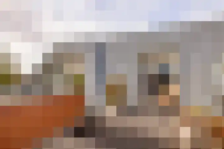 Het Haagje 26 51 Hoogeveen thumbnail 24