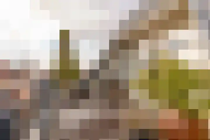 Het Haagje 26 51 Hoogeveen thumbnail 25