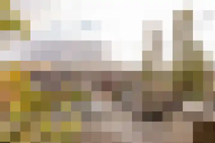 Het Haagje 26 51 Hoogeveen thumbnail 27
