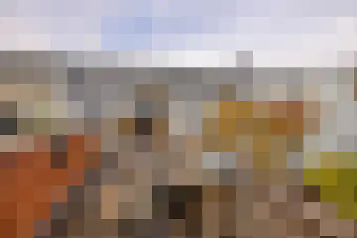 Het Haagje 26 51 Hoogeveen thumbnail 29