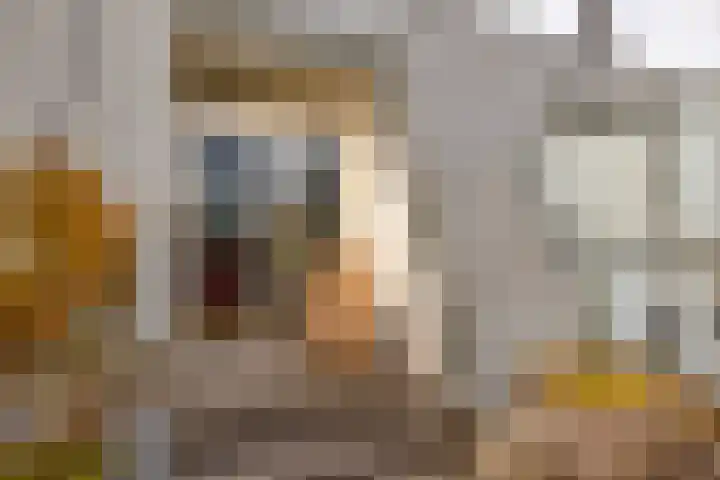 Het Haagje 26 51 Hoogeveen thumbnail 30
