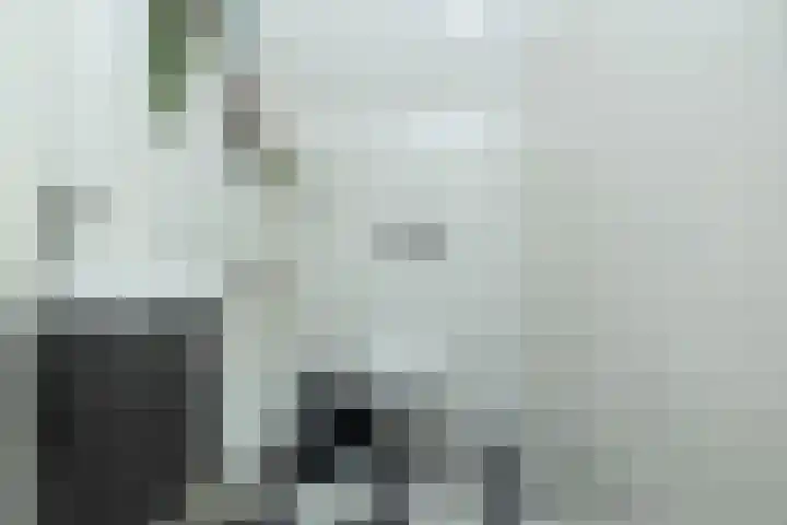Het Haagje 26 51 Hoogeveen thumbnail 33