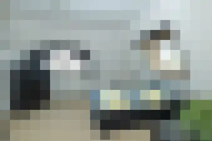 Het Haagje 26 51 Hoogeveen thumbnail 35