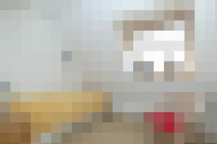 Het Haagje 26 51 Hoogeveen thumbnail 39