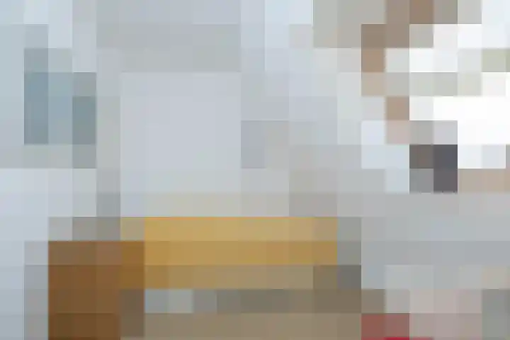 Het Haagje 26 51 Hoogeveen thumbnail 40