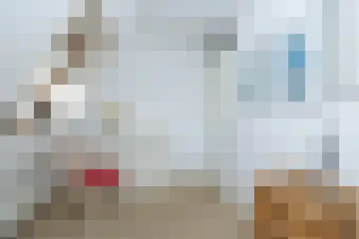 Het Haagje 26 51 Hoogeveen thumbnail 41