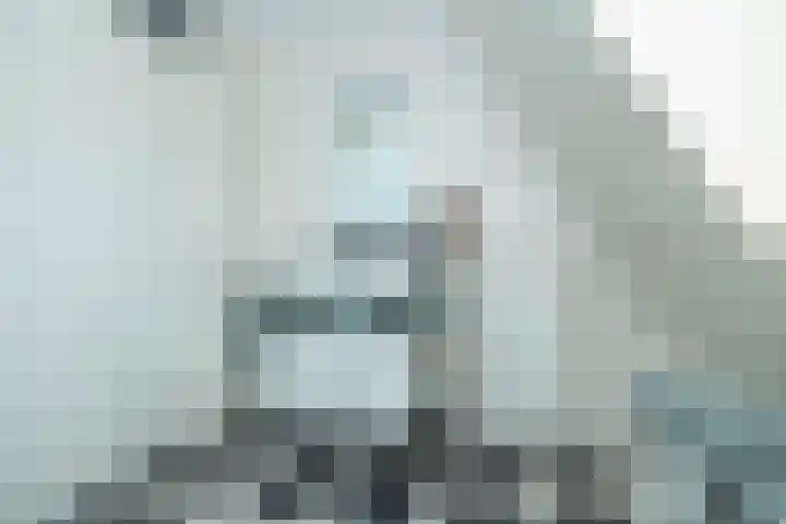 Het Haagje 26 51 Hoogeveen thumbnail 43