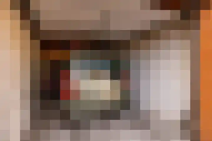 Het Haagje 26 51 Hoogeveen thumbnail 48