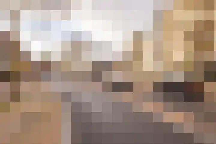 Het Haagje 26 51 Hoogeveen thumbnail 56