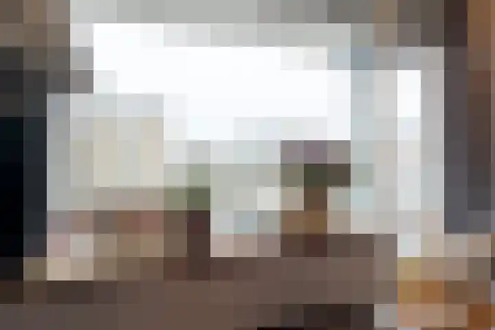 Het Haagje 45 Hoogeveen thumbnail 10