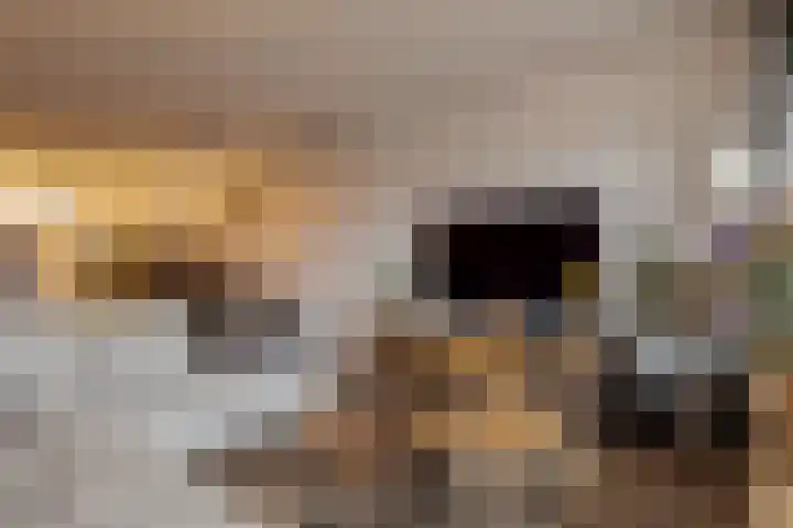 Het Haagje 45 Hoogeveen thumbnail 12