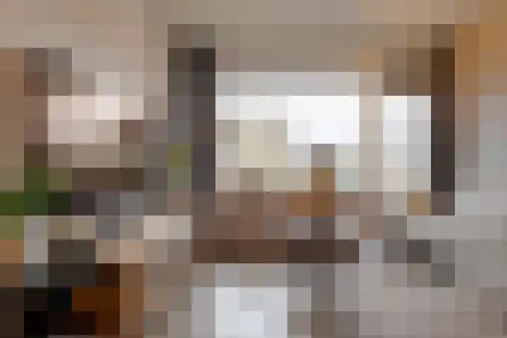 Het Haagje 45 Hoogeveen thumbnail 13