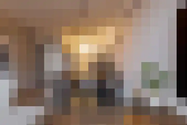 Het Haagje 45 Hoogeveen thumbnail 14