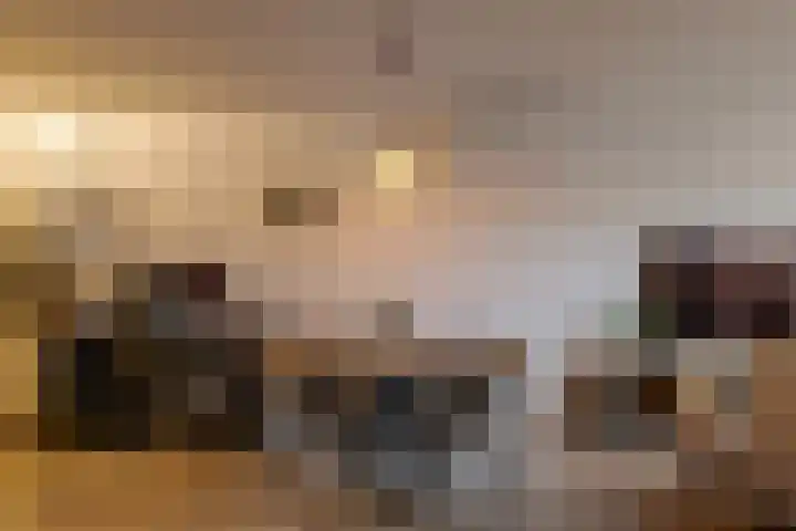 Het Haagje 45 Hoogeveen thumbnail 15