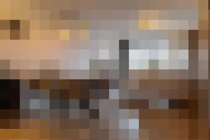 Het Haagje 45 Hoogeveen thumbnail 16