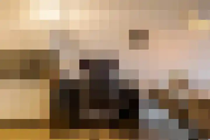 Het Haagje 45 Hoogeveen thumbnail 18