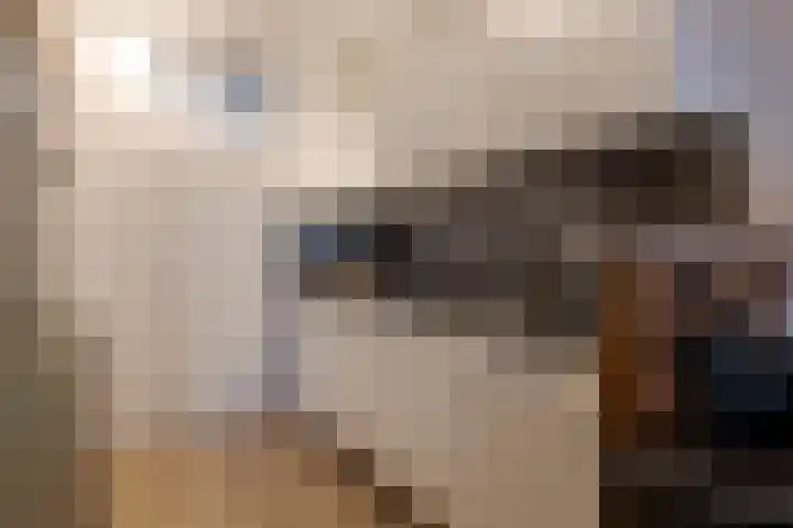 Het Haagje 45 Hoogeveen thumbnail 19