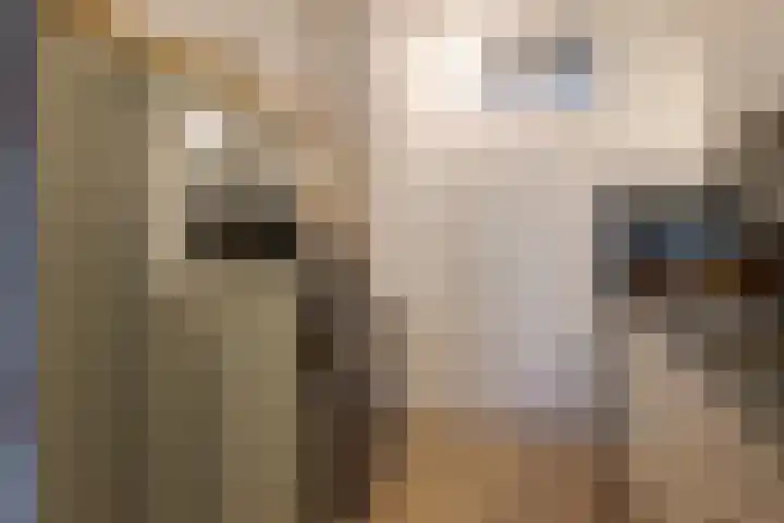 Het Haagje 45 Hoogeveen thumbnail 20