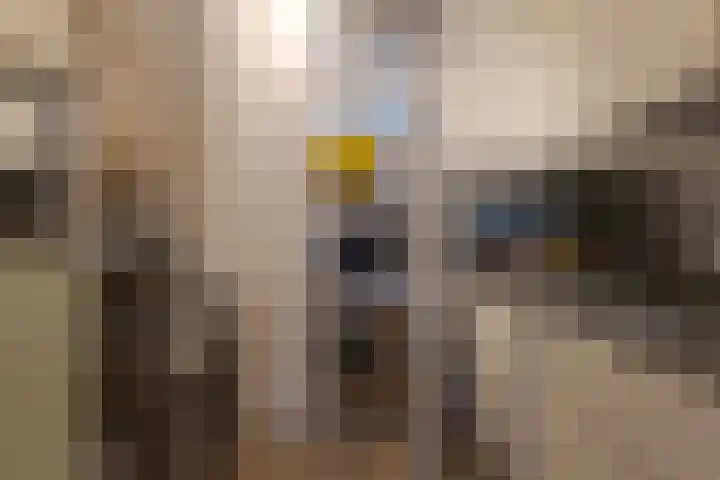 Het Haagje 45 Hoogeveen thumbnail 21