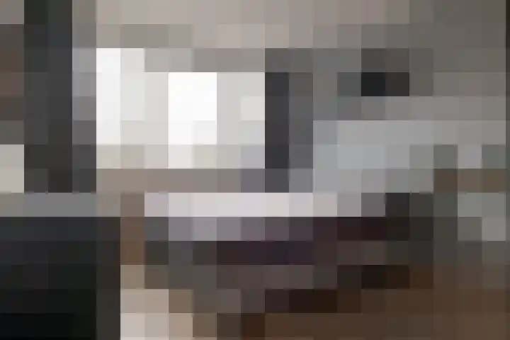 Het Haagje 45 Hoogeveen thumbnail 24