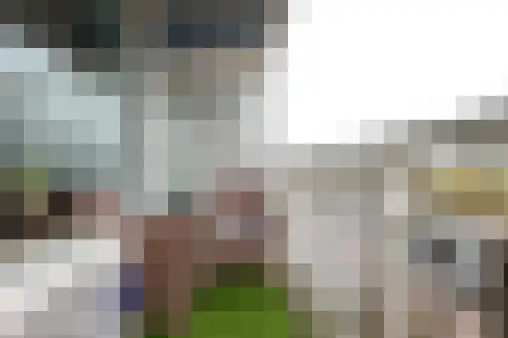 Het Haagje 45 Hoogeveen thumbnail 9