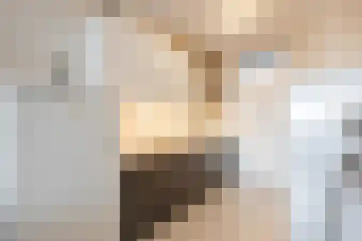 Het Haagje 75 Hoogeveen thumbnail 11