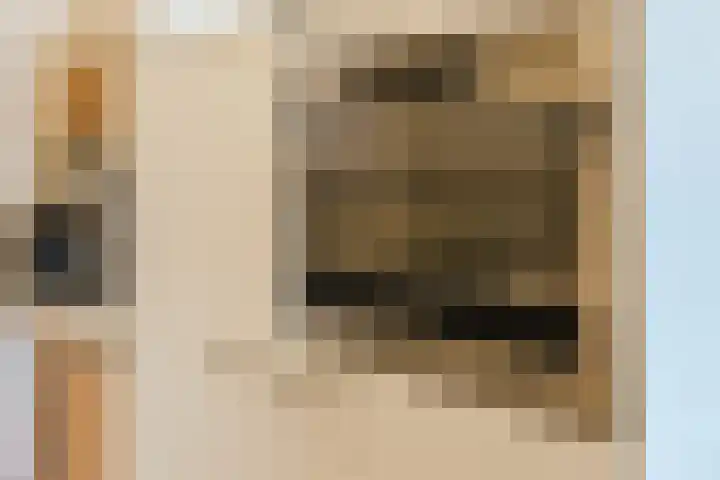 Het Haagje 75 Hoogeveen thumbnail 13