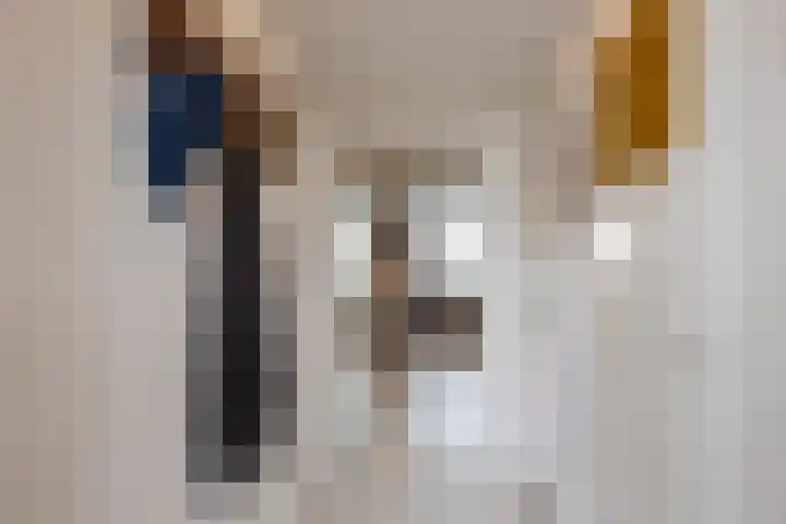 Het Haagje 75 Hoogeveen thumbnail 25