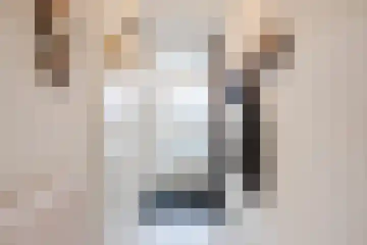 Het Haagje 75 Hoogeveen thumbnail 26