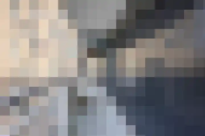 Het Haagje 75 Hoogeveen thumbnail 27