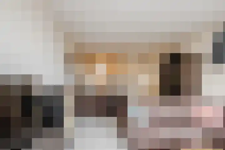 Het Haagje 75 Hoogeveen thumbnail 8