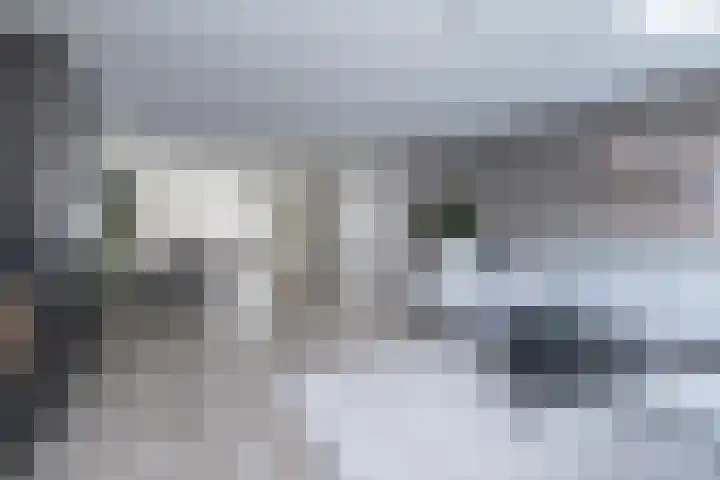Het Haagse Hofje 14 Amersfoort thumbnail 12
