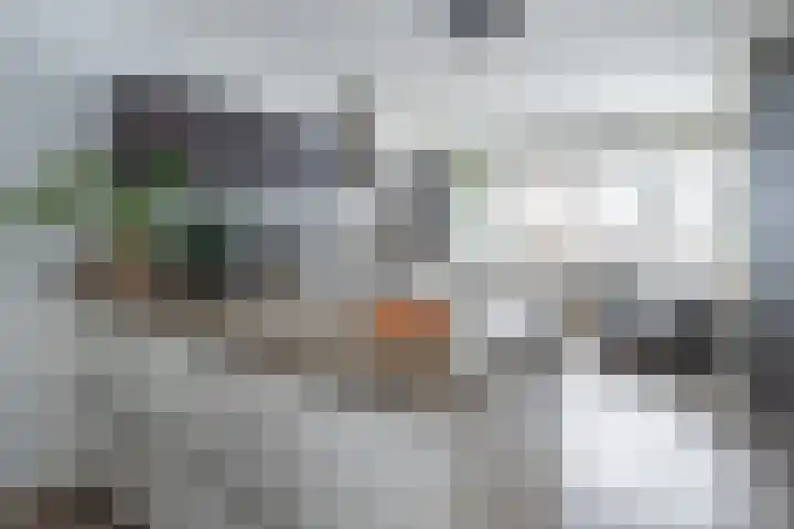 Het Haagse Hofje 14 Amersfoort thumbnail 15