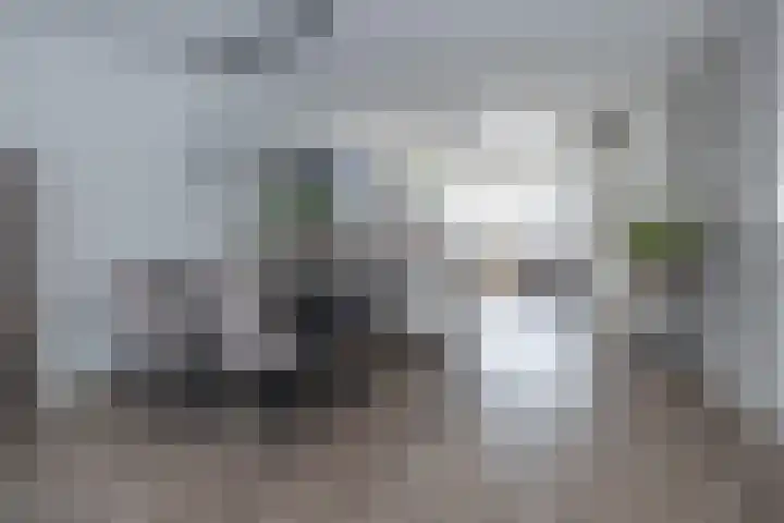 Het Haagse Hofje 14 Amersfoort thumbnail 17